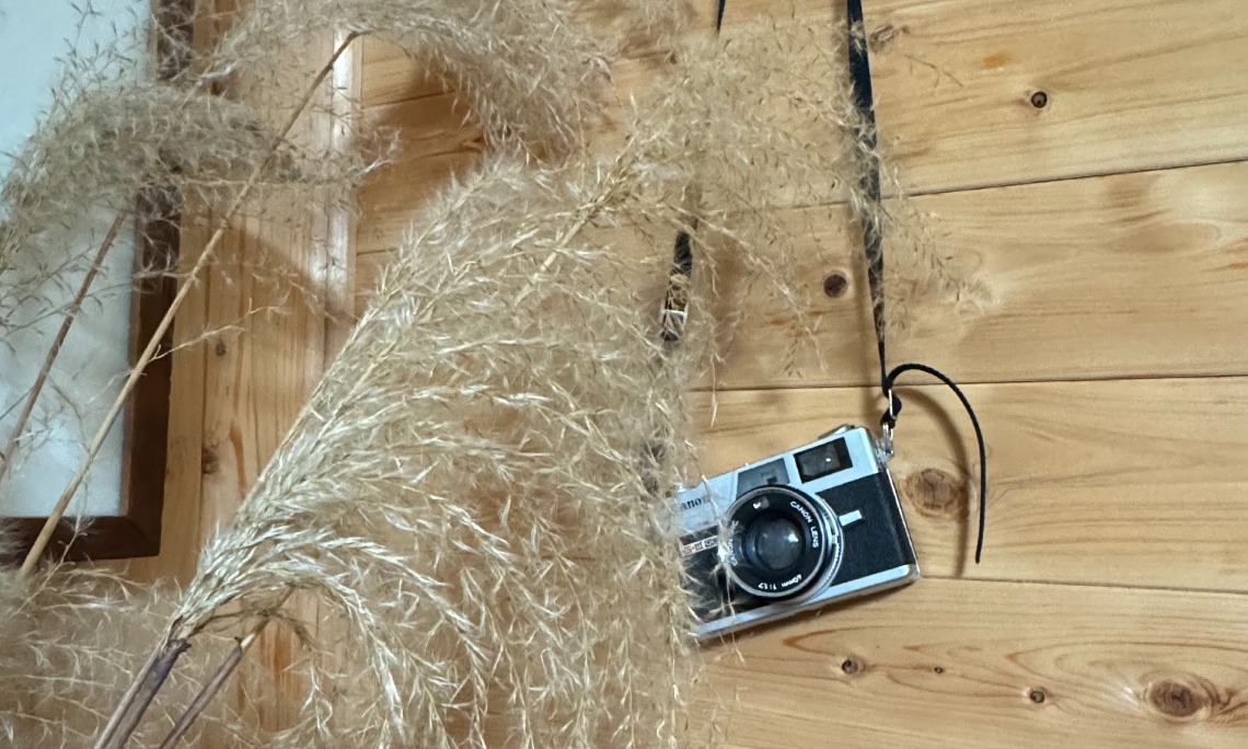 독채 가을 이미지